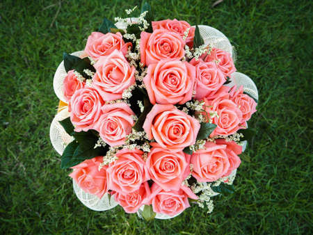 sweet rose, mother's day, valentine's dayの写真素材