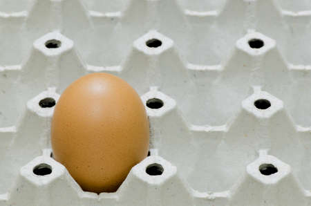 1 egg orange chicken Placed on a trayの写真素材