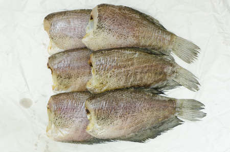 stack Trichogaster pectoralis drying process in thailandの写真素材