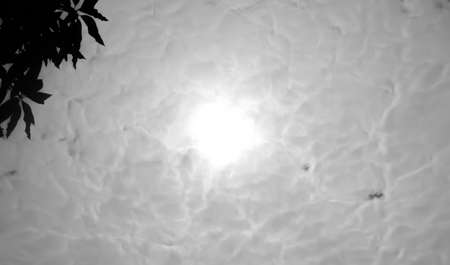 The sun and clouds and shadow leavesの写真素材