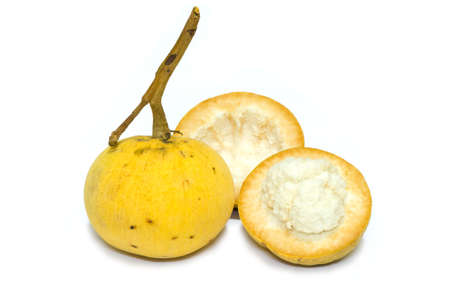 fresh santols isolated on white backgroundの写真素材