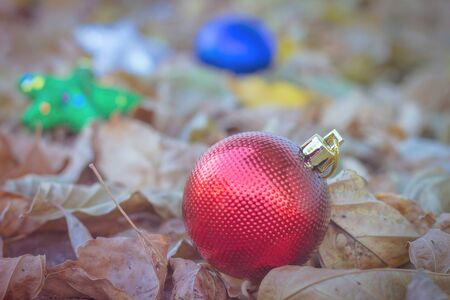 red ornament for Christmas tree on dry leaves backgroundの写真素材