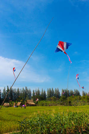 Thai kiteの写真素材