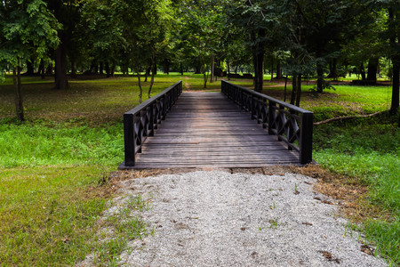 trees in parkの写真素材
