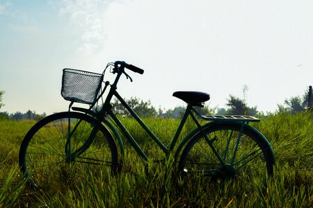 bicycle in meadow