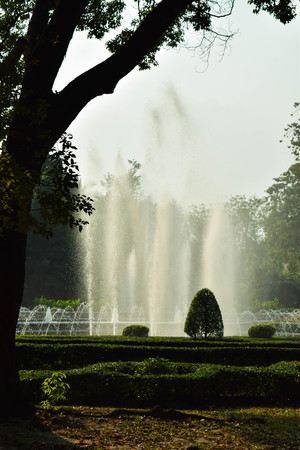 green tree and fuontainの写真素材