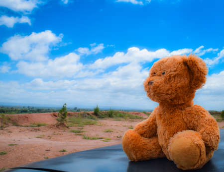 teddy bear lonely on car blue sky backgroundの写真素材