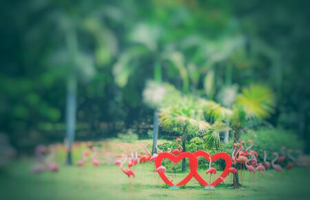 heart shaped redの写真素材