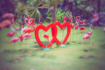 heart shaped redの写真素材