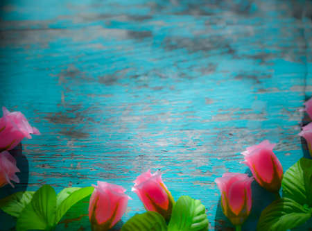 pink roses backgroundの写真素材