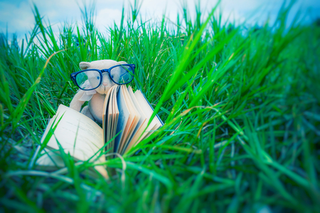 teddy bear wear glasses with bookの写真素材