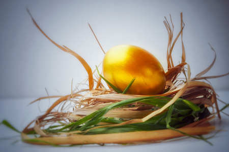 gold  egg on nest