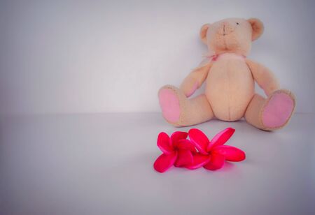 teddy bear and red flower love conceptの写真素材