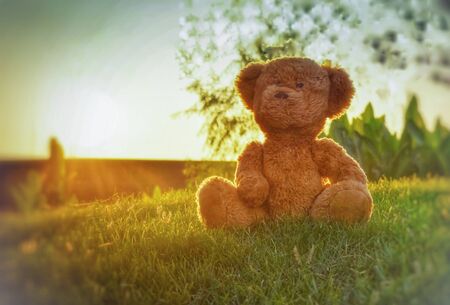 teddy bear  and sunsetの写真素材