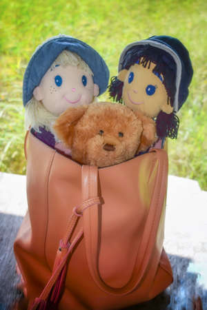 teddy bear girl doll rice field backgroundの写真素材