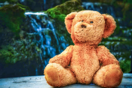 teddy bearの写真素材