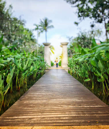 wood walkway bridge in gardenの写真素材