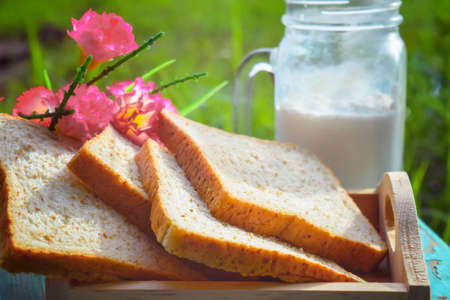 morning time milk and whole wheat bread in garden