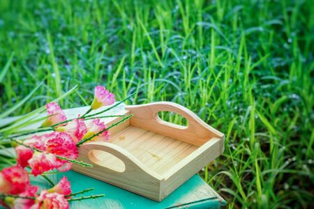 empty tray wooden and flower in gardenの写真素材