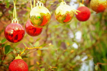 christmas concept bokeh backgroundの写真素材