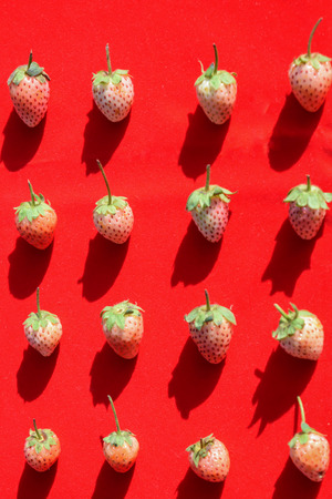 Fresh strawberry fruit backgroundの写真素材