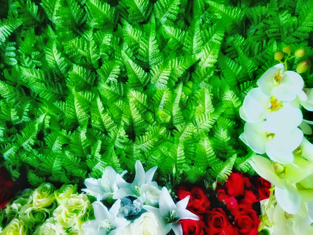 green leaf backdrop and flowerの写真素材