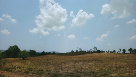 Meadow with the skyの写真素材