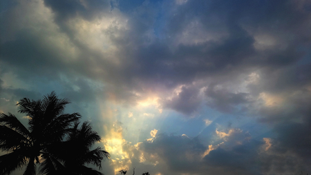 Tree with skyの写真素材
