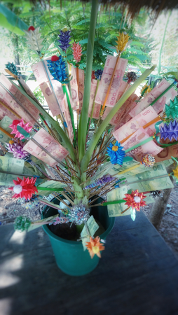 buddhist make merit money treeの写真素材