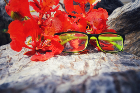 Glasses on stonesの写真素材