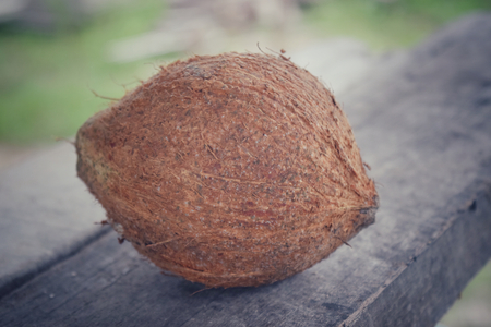 coconut food backgroundの写真素材