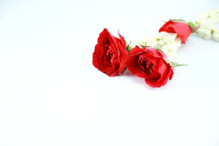 Beautiful garland of rosesの写真素材