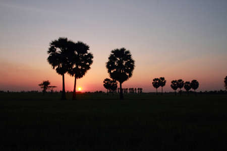 Sunsetの写真素材