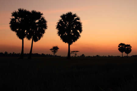 The sunsetの写真素材