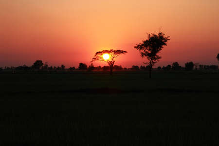 Sunsetの写真素材