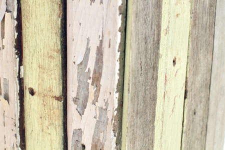 Wood texture backgroundの写真素材