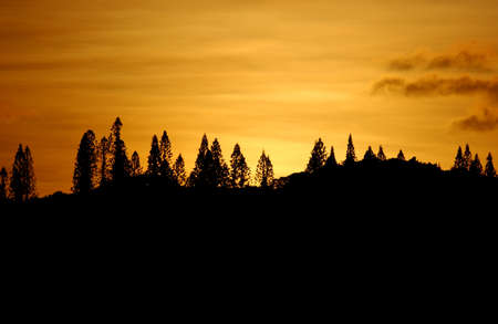 New Caledoniaの写真素材