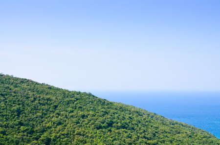 The View of green forest on mountainside with the seaの写真素材