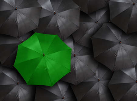 concept for leadership with many blacks and green umbrella の写真素材