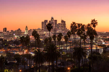 Beautiful sunset of Los Angeles downtown skyline and palm trees in foreground
