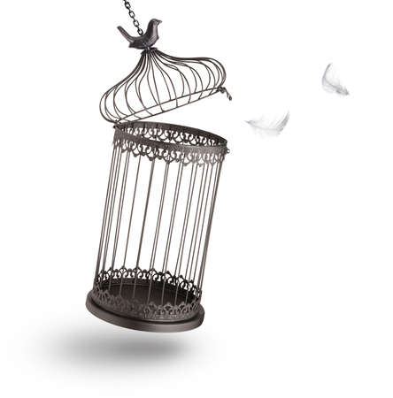 Escaping from the cage. White backgroundの写真素材