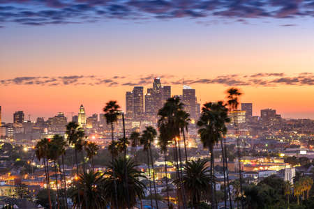 Beautiful sunset of Los Angeles downtown skyline and palm trees in foregroundの写真素材