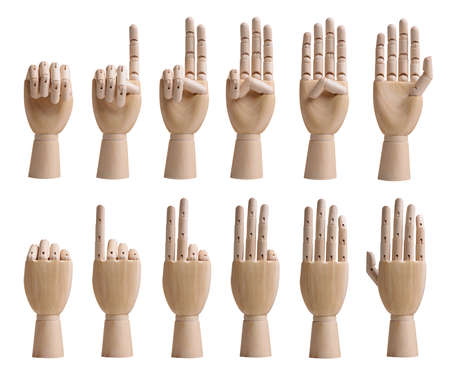 Counting wooden hands set isolated on white backgroundの写真素材