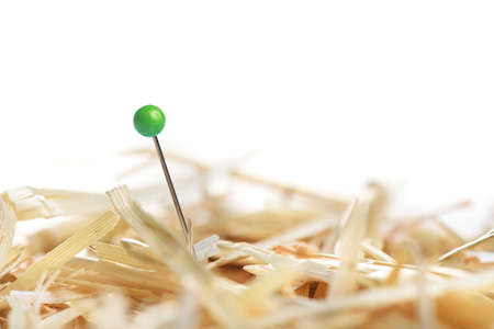 Closeup of a needle in haystackの写真素材