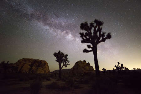 Milky Way Galaxy at night in Joshua Tree National Park, Californiaの写真素材