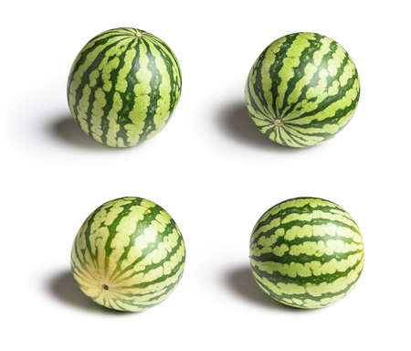 Set of four ripe green watermelon fruits. Isolated on white backgroundの写真素材