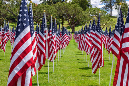 American flags on a green grassの写真素材