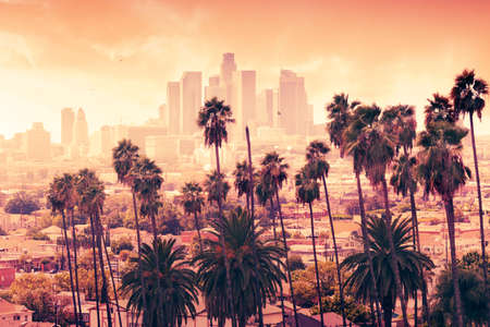 Beautiful sunset through the palm trees, Los Angeles, California.の写真素材