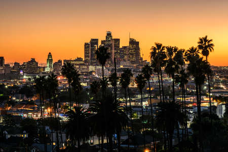 Beautiful sunset through the palm trees, Los Angeles, California.の写真素材