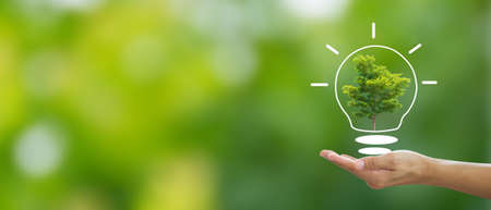 Hand holding big tree and light bulb on blurred green background with campaign to save energy and plant a tree. It is a concept that shows clean energy saving to save the environment for the world.の写真素材